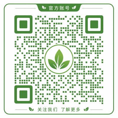 暗网